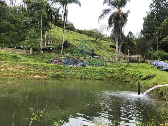 Imagem Chácara com 3 Quartos à Venda, 1.200.000 m² em Lageado Alto - Guabiruba Imagem Chácara com 3 Quartos à Venda, 1.200.000 m² em Lageado Alto - Guabiruba