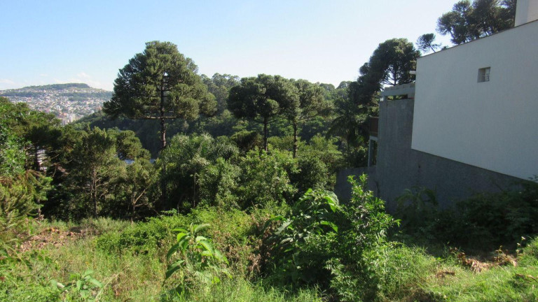 Imagem Terreno à Venda, 450 m² em Jardim - Concórdia Imagem Terreno à Venda, 450 m² em Jardim - Concórdia