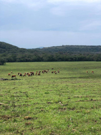 Imagem Imóvel com 2 Quartos à Venda, 900 m² em Alegrete Imagem Imóvel com 2 Quartos à Venda, 900 m² em Alegrete