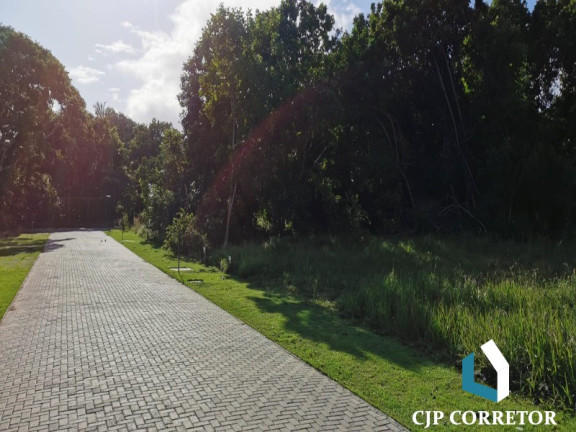 Imagem Terreno à Venda, 700 m² em Praia Do Forte - Mata De Sao Joao Imagem Terreno à Venda, 700 m² em Praia Do Forte - Mata De Sao Joao