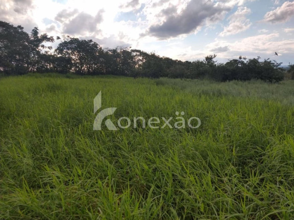 Imagem Chácara com 1 Quarto à Venda, 300 m² em Bairro Marambaia - Caçapava Imagem Chácara com 1 Quarto à Venda, 300 m² em Bairro Marambaia - Caçapava