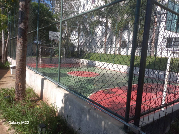 Imagem Apartamento com 2 Quartos à Venda, 44 m² em Jardim Helga - São Paulo Imagem Apartamento com 2 Quartos à Venda, 44 m² em Jardim Helga - São Paulo