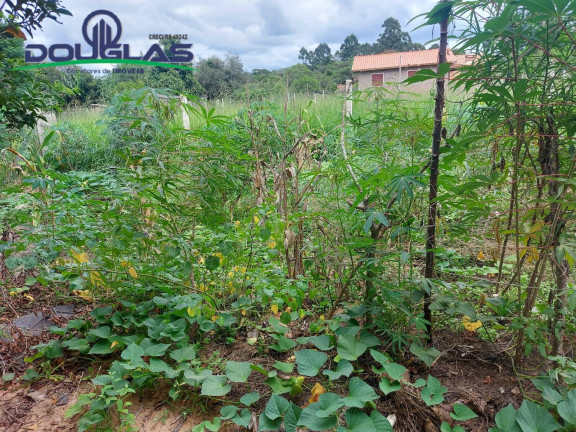Imagem Casa à Venda, 530 m² em Viamão