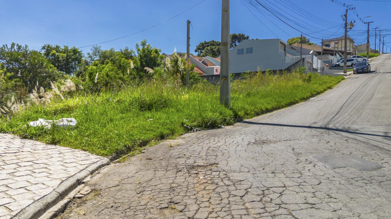 Imagem Terreno à Venda, 1.007 m² em Jardim Céu Azul - Campo Largo Imagem Terreno à Venda, 1.007 m² em Jardim Céu Azul - Campo Largo