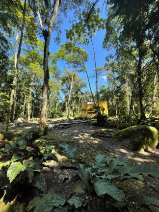 Imagem Imóvel com 5 Quartos à Venda, 20.000 m² em Maresias - São Sebastião Imagem Imóvel com 5 Quartos à Venda, 20.000 m² em Maresias - São Sebastião