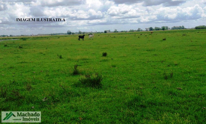 Imagem Imóvel à Venda, 200.000 m² em Rural - Santiago Imagem Imóvel à Venda, 200.000 m² em Rural - Santiago
