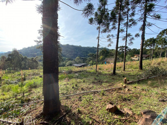Imagem Chácara à Venda, 30.000 m² em Caracol - Canela Imagem Chácara à Venda, 30.000 m² em Caracol - Canela
