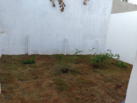 Imagem Casa com 3 Quartos à Venda, 150 m² em Cidade Livre - Aparecida De Goiânia Imagem Casa com 3 Quartos à Venda, 150 m² em Cidade Livre - Aparecida De Goiânia