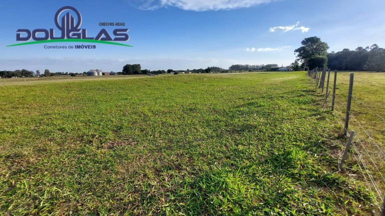 Imagem Chácara com 3 Quartos à Venda, 20.000 m² em águas Claras - Viamão