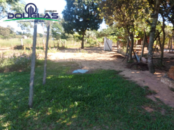 Imagem Chácara com 2 Quartos à Venda, 11.000 m² em Viamão