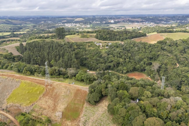 Imagem Imóvel com 1 Quarto à Venda, 24.200 m² em Campo Magro - Campo Magro Imagem Imóvel com 1 Quarto à Venda, 24.200 m² em Campo Magro - Campo Magro