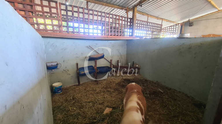 Imagem Chácara à Venda, 3 m² em área Rural De Mogi Mirim - Moji Mirim Imagem Chácara à Venda, 3 m² em área Rural De Mogi Mirim - Moji Mirim