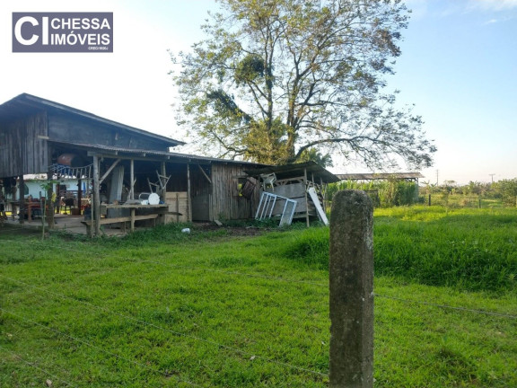 Imagem Chácara com 4 Quartos à Venda, 8.078 m² em Itaipava - Itajaí