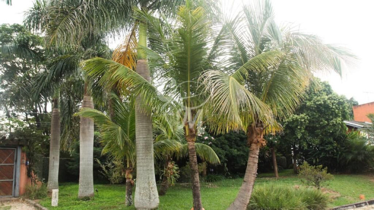Imagem Imóvel com 3 Quartos à Venda, 5.400 m² em Chácaras Do Guacuri - Itupeva Imagem Imóvel com 3 Quartos à Venda, 5.400 m² em Chácaras Do Guacuri - Itupeva