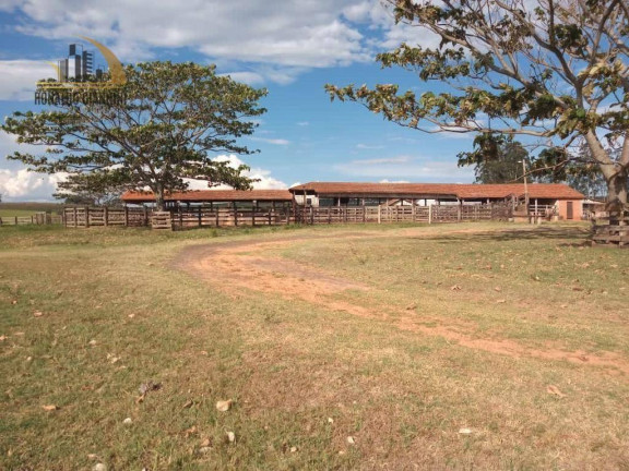 Imagem Fazenda à Venda, 15.294.400 m² em Centro - Assis