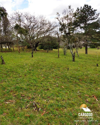 Imagem Imóvel com 3 Quartos à Venda, 80.000 m² em Estância Grande - Viamão