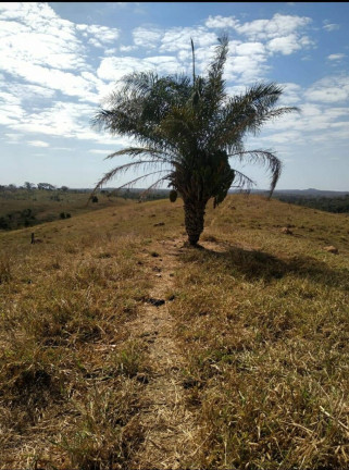Imagem Fazenda à Venda, 411 m² em Nobres Imagem Fazenda à Venda, 411 m² em Nobres