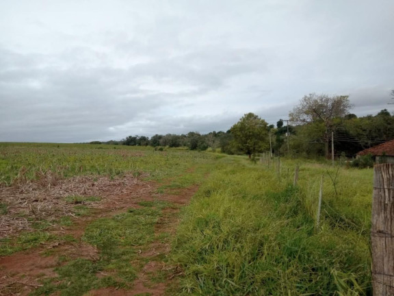 Imagem Fazenda à Venda, 96 m² em Rural - Avaré