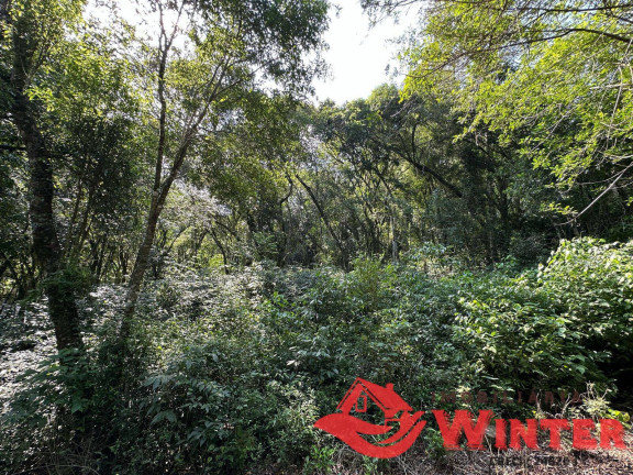 Imagem Terreno à Venda, 2.162 m² em Linha Neis - São Vendelino Imagem Terreno à Venda, 2.162 m² em Linha Neis - São Vendelino