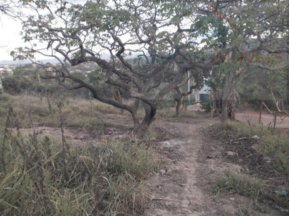 Imagem Terreno à Venda, 360 m² em Jardim Das Mangabeiras - Mateus Leme
