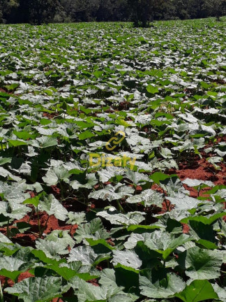 Imagem Fazenda à Venda, em Zona Rural - Santana De Pirapama Imagem Fazenda à Venda, em Zona Rural - Santana De Pirapama