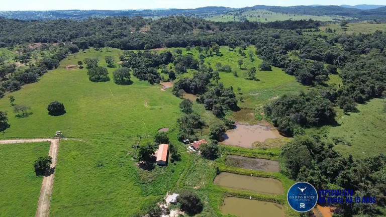Imagem Chácara à Venda, 8 m² em Zona Rural - Petrolina De Goiás Imagem Chácara à Venda, 8 m² em Zona Rural - Petrolina De Goiás