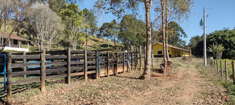 Imagem Chácara com 3 Quartos à Venda, em Curralinho - Lagoinha Imagem Chácara com 3 Quartos à Venda, em Curralinho - Lagoinha