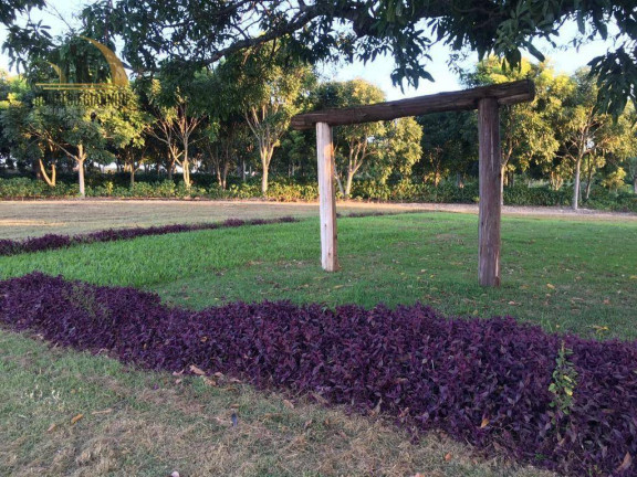 Imagem Fazenda à Venda, 968.000 m² em São Luis - Jacutinga