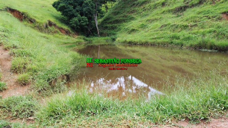 Imagem Fazenda à Venda, 65 m² em Centro - Cunha Imagem Fazenda à Venda, 65 m² em Centro - Cunha
