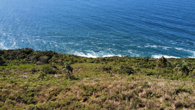 Imagem Terreno à Venda, 16.948 m² em Praia Da Ferrugem - Garopaba