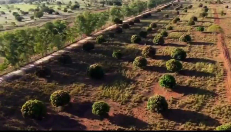 Imagem Fazenda à Venda, 4.534 m² em Rural - Camapuã