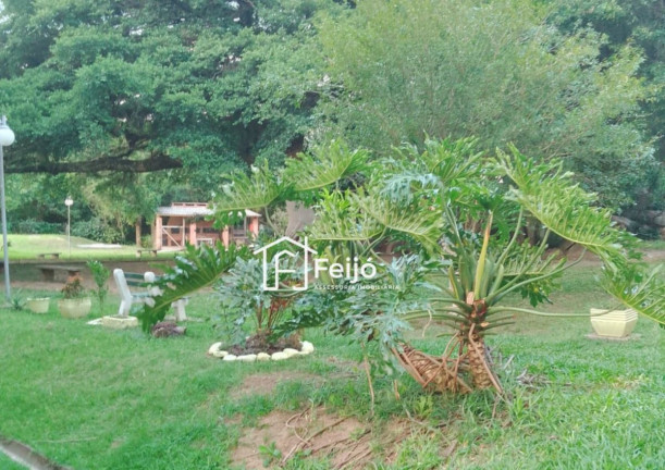 Imagem Apartamento com 2 Quartos à Venda, 39 m² em Lomba Do Pinheiro - Porto Alegre Imagem Apartamento com 2 Quartos à Venda, 39 m² em Lomba Do Pinheiro - Porto Alegre
