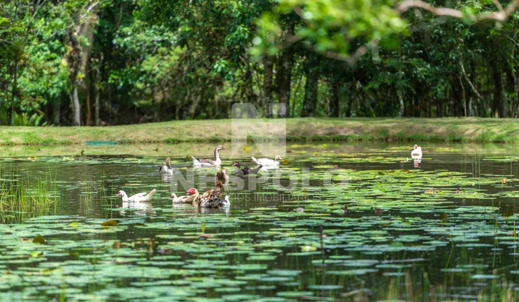 Imagem Terreno à Venda,  em Rio Do Meio - Camboriu