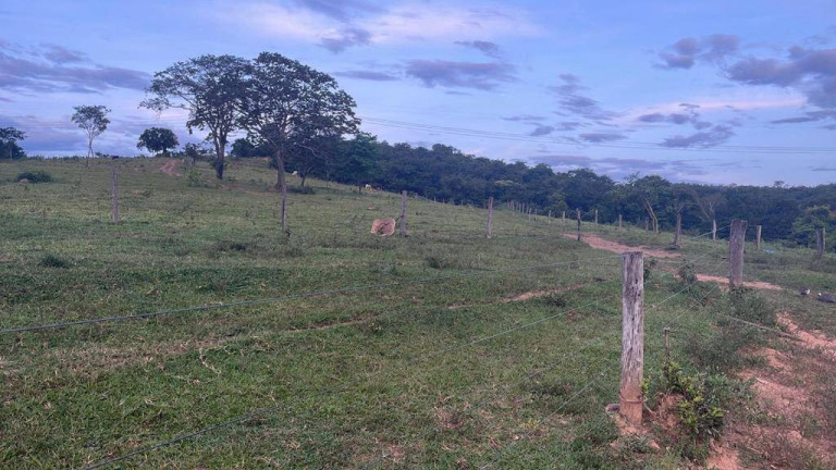 Imagem Fazenda à Venda, 24 m² em Centro - Luziânia