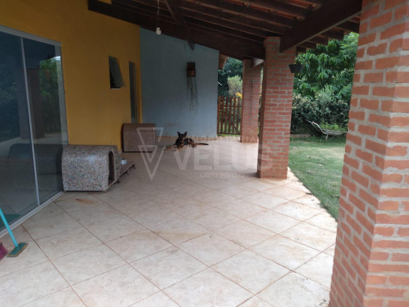 Imagem Imóvel com 1 Quarto à Venda, 3.000 m² em Mato Seco - Itapetininga Imagem Imóvel com 1 Quarto à Venda, 3.000 m² em Mato Seco - Itapetininga