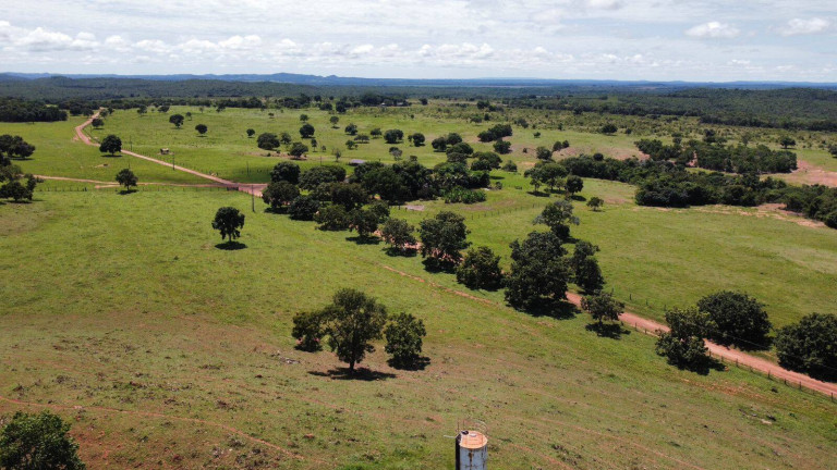 Imagem Fazenda à Venda, 787 m² em Nova Xavantina Imagem Fazenda à Venda, 787 m² em Nova Xavantina