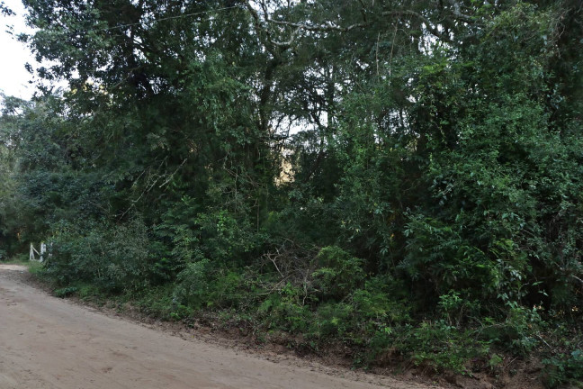 Imagem Terreno à Venda, 1.350 m² em águas Claras - Viamão