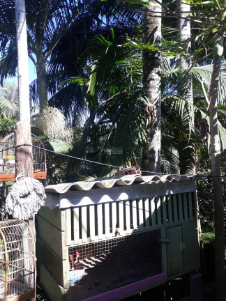 Imagem Imóvel com 3 Quartos à Venda,  em Centro - São João Batista