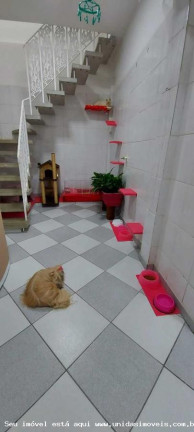 Imagem Casa com 3 Quartos à Venda, 350 m² em Socorro - São Paulo