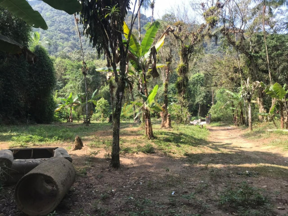 Imagem Terreno à Venda, 32 m² em Horto Florestal - Ubatuba Imagem Terreno à Venda, 32 m² em Horto Florestal - Ubatuba