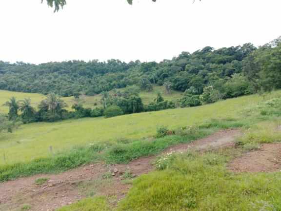 Imagem Chácara à Venda, em Cuiabá Imagem Chácara à Venda, em Cuiabá