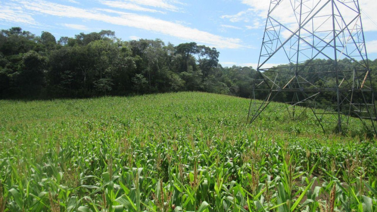 Imagem Terreno à Venda, 120.000 m² em Rural - Concórdia Imagem Terreno à Venda, 120.000 m² em Rural - Concórdia