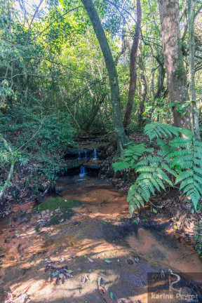 Imagem Terreno à Venda, 2.200 m² em Fazenda São Borja - São Leopoldo Imagem Terreno à Venda, 2.200 m² em Fazenda São Borja - São Leopoldo