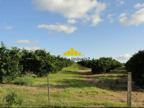 Imagem Fazenda à Venda, 170 m² em Rural - Angatuba Imagem Fazenda à Venda, 170 m² em Rural - Angatuba