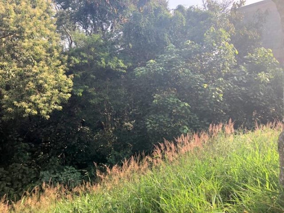 Imagem Terreno à Venda, 674 m² em Chácara Moinho Velho - Carapicuíba Imagem Terreno à Venda, 674 m² em Chácara Moinho Velho - Carapicuíba