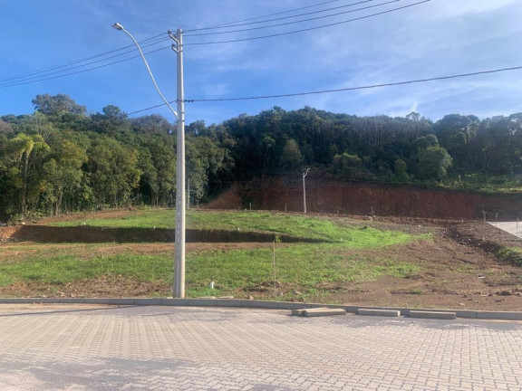 Imagem Terreno à Venda, 293 m² em Sao Roque - Bento Gonçalves