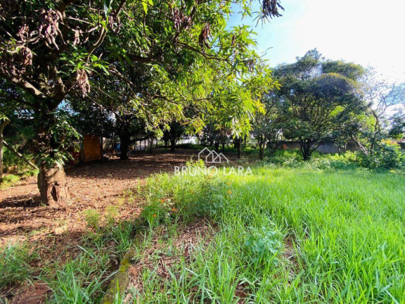 Imagem Terreno à Venda, 2.070 m² em Pousada Del Rey - Igarapé Imagem Terreno à Venda, 2.070 m² em Pousada Del Rey - Igarapé