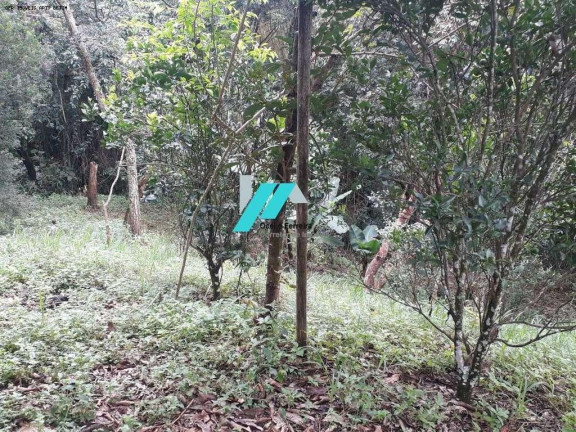 Imagem Fazenda à Venda, 7.000 m² em Caio Martins - Esmeraldas Imagem Fazenda à Venda, 7.000 m² em Caio Martins - Esmeraldas