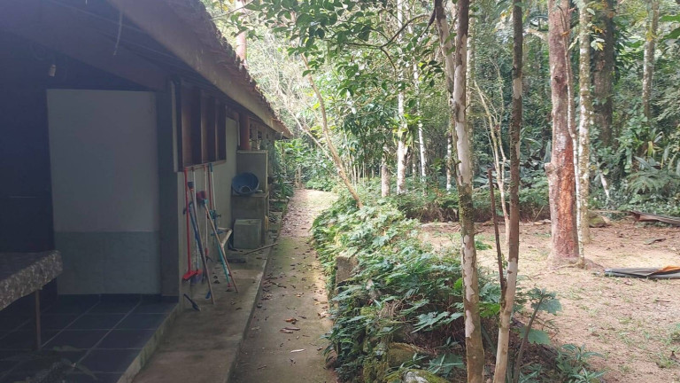 Imagem Chácara com 5 Quartos à Venda, 5.000 m² em Horto Florestal - Ubatuba Imagem Chácara com 5 Quartos à Venda, 5.000 m² em Horto Florestal - Ubatuba