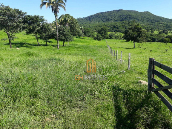 Imagem Chácara à Venda, 338.800 m² em Area Rural - Novo Brasil Imagem Chácara à Venda, 338.800 m² em Area Rural - Novo Brasil
